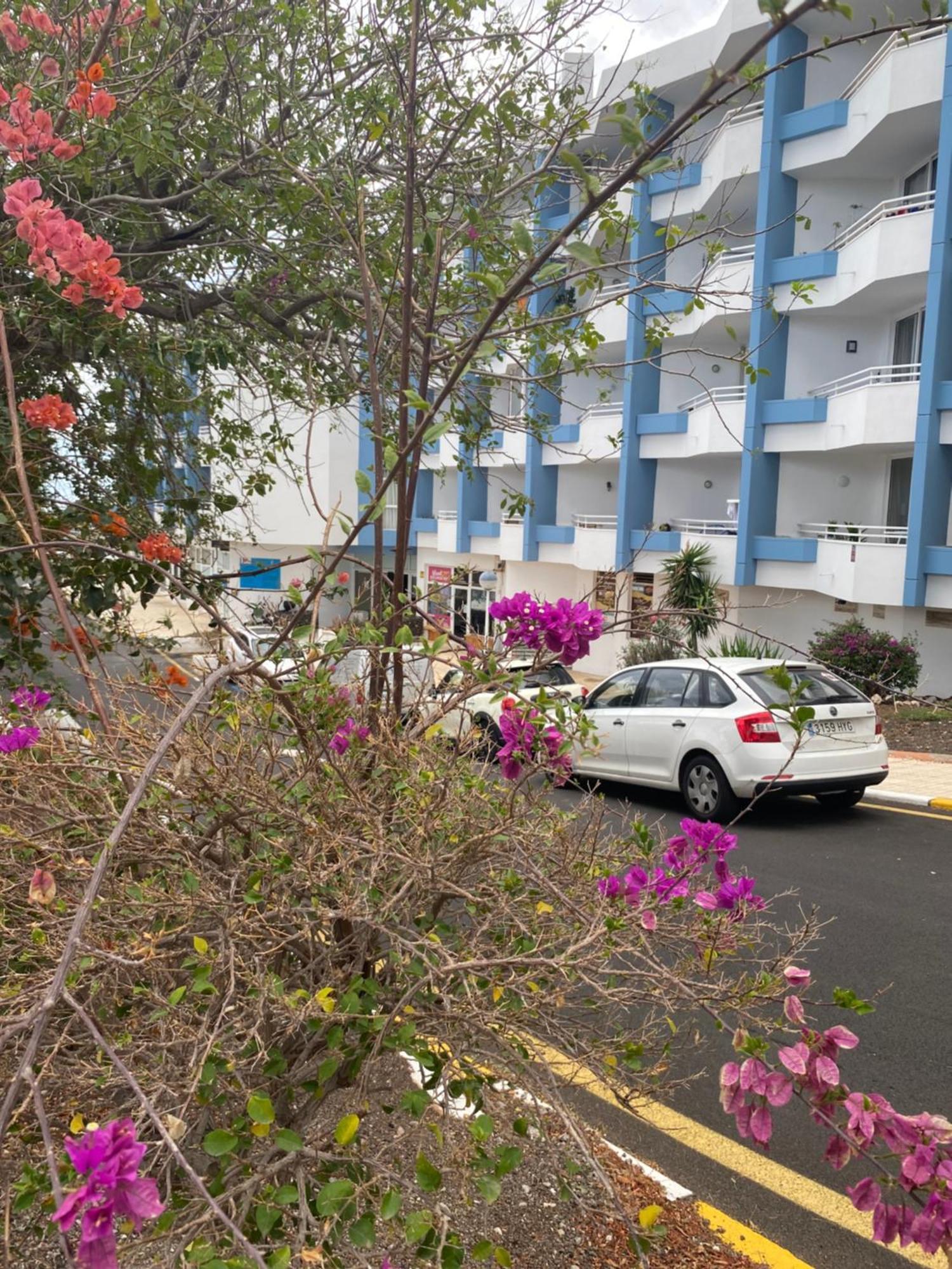 Sissy Tenerife Apartman San Miguel de Abona Esterno foto